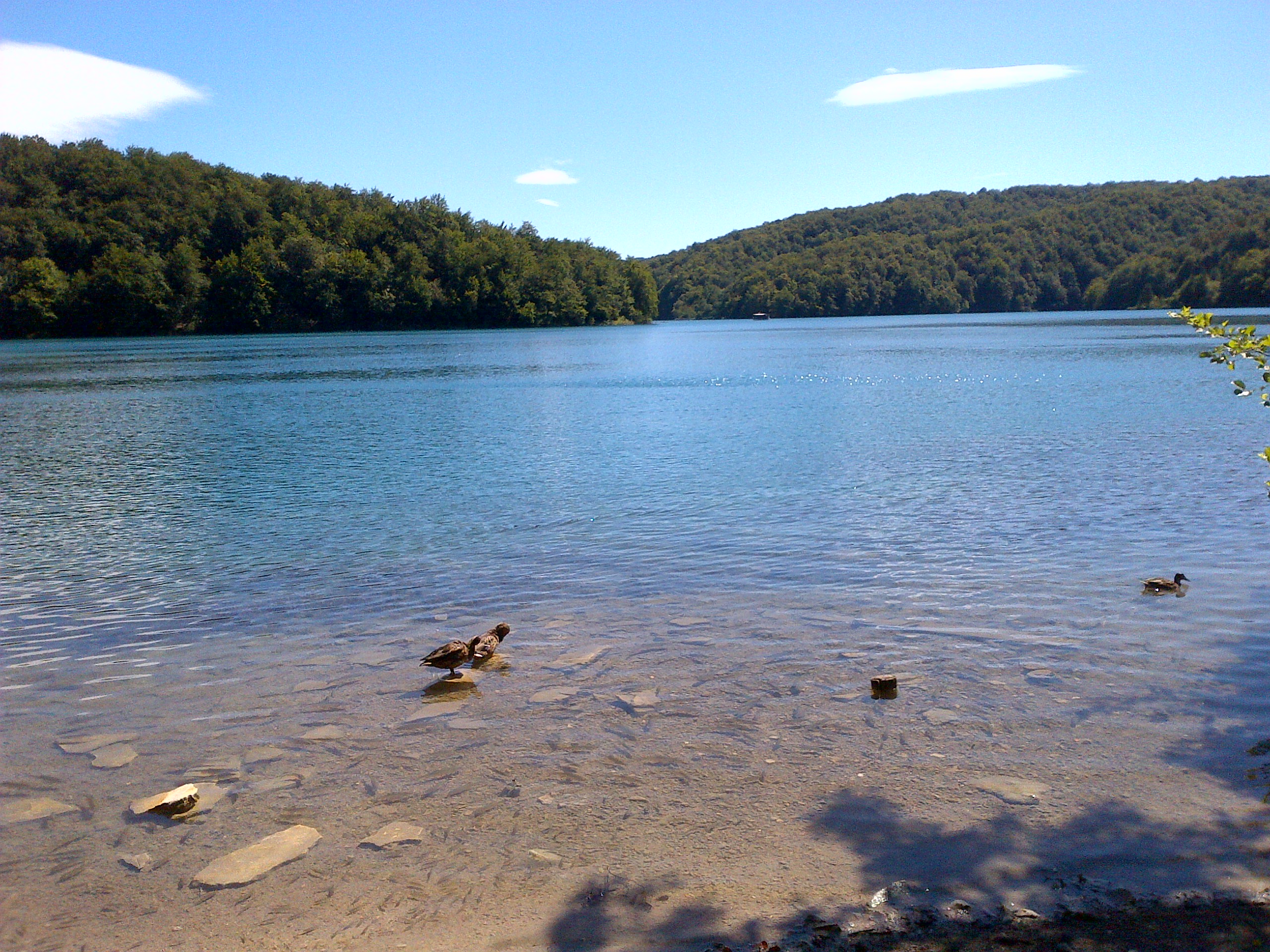 IMG-20130903-01077.jpg plitvice