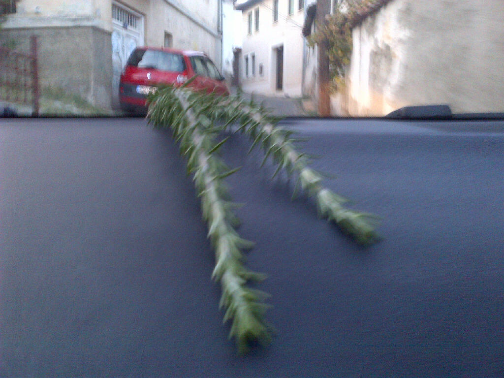 IMAGE10.jpg Air freshner