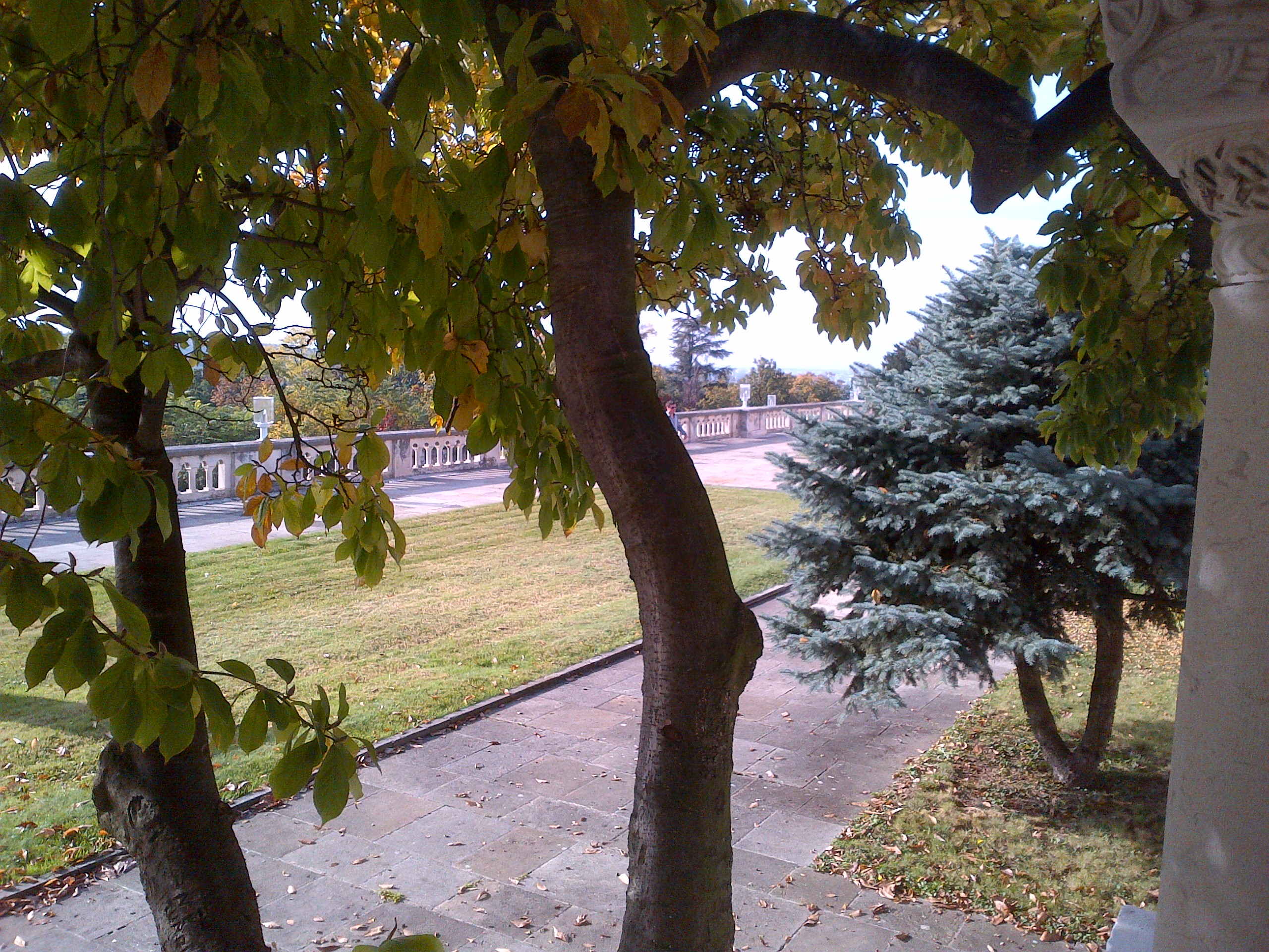 IMG-20131013-01206.jpg Bad photo of the courtyard of the royal palace. Am interested in buying the place